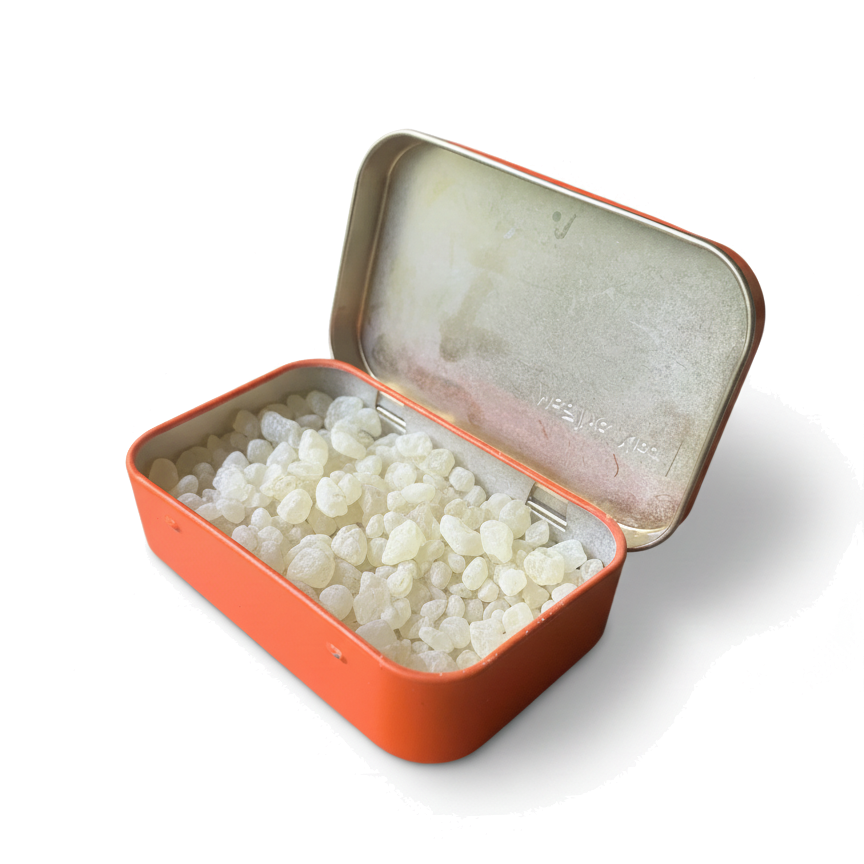 Mastic Gum 20g Tin