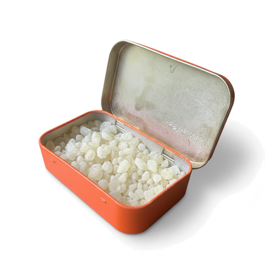 Mastic Gum 20g Tin